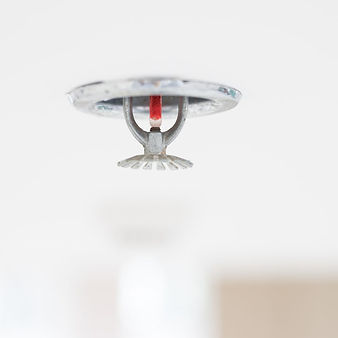 Close-up of sprinkler head assembly during inspection.
