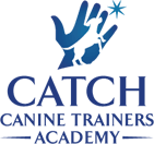 CATCH Logo