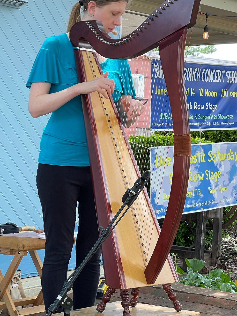 Shab Row Concert Series