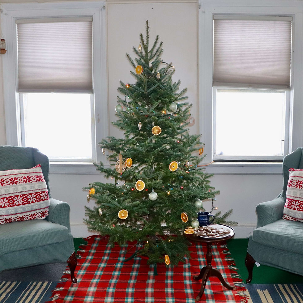 The secret to keeping your Christmas tree fresh