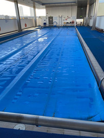 Arcadia Primary School Pool.jpeg