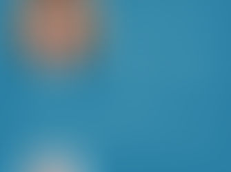 WFWP Russia - Preparation for building a happy family