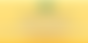 WFWP UN Vienna - Meet & Greet 5