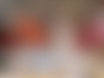 WFWP Austria -Lecture series