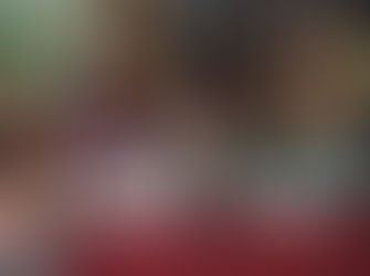 Brief report EU Conference 2018