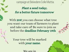WFWP Italy -PLANT A TREE campaign.