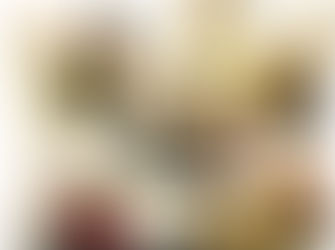 WFWP Denmark - Peace Bridge event between Denmark and Greenland Greenlandic House in Copenhagen