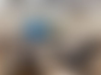 WFWP Russia - Lecture on moral education at public school