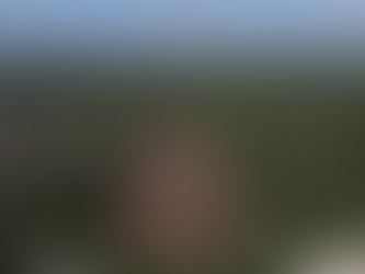 Pretende Fonatur, con información falsa, obtener la MIA-R del tramo 5 del tren maya