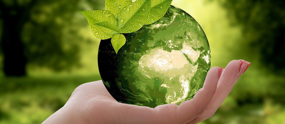 sustentabilidad