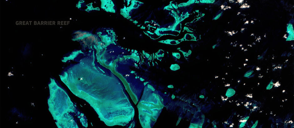 Alerta Copernicus sobre el blanqueamiento extenso en la Gran Barrera de Coral