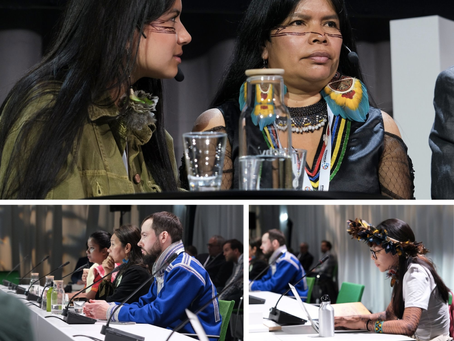 Aspectos relevantes en Estocolmo+50