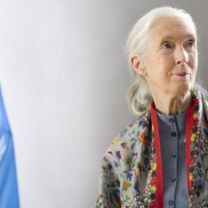 Jane Goodall