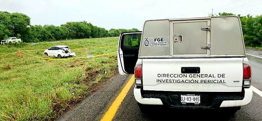 investigación pericial
