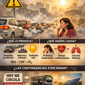 Contaminación por ozono: el enemigo invisible que respiramos