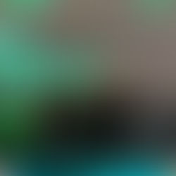 Innovation Meet Up 2026