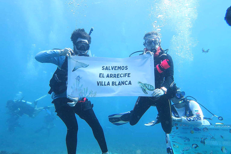 © Greenpeace