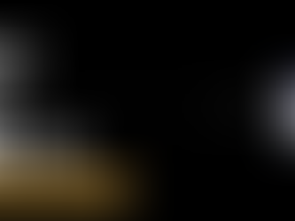 ¡Ahora o nunca!: tenemos sólo una Tierra