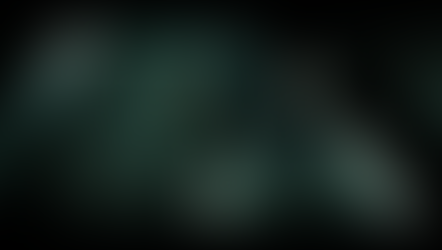 Live Free or Die Hard (2007)