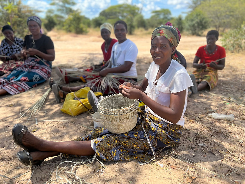 All We Can Campaigns