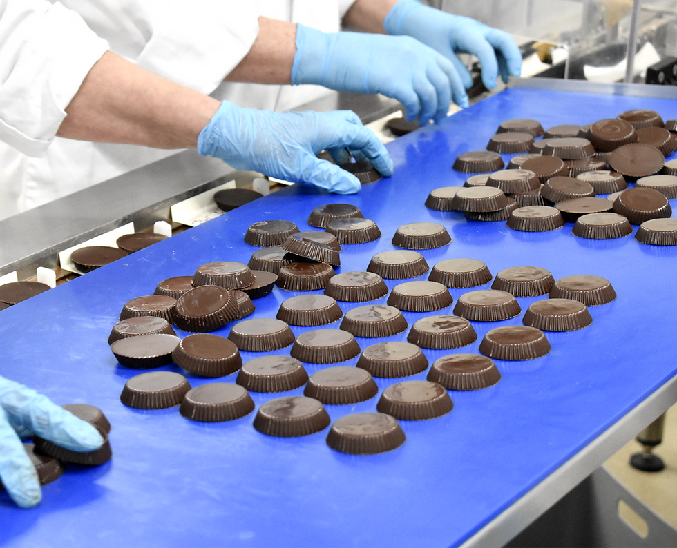 Chocolate factory uk manufacturing dark chocolatenut butter cups ont he production line