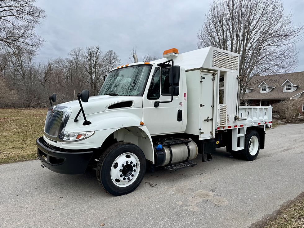 2018 INTERNATIONAL DURASTAR