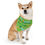 Thumbnail: 'International Pub Dog' Dog Collar Bandana