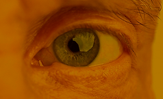 mapeamento-retina.png