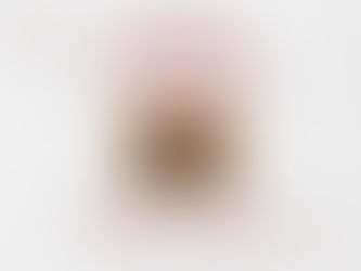 Fireside Fellowship & Group Dinner!