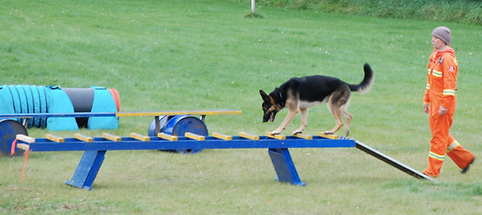 Screen Shot 2021-02-26 at 12.51.23 PM.pn