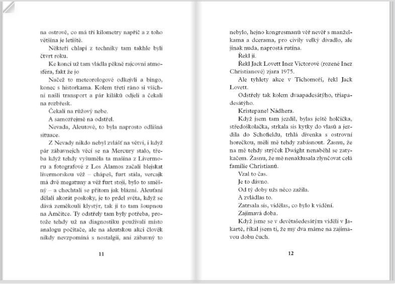 Miniatura: Demokracie; Joan Didion