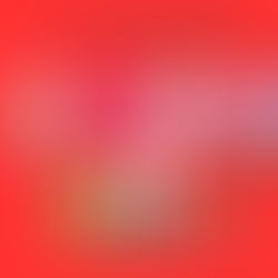 Knižní průvodce láskou