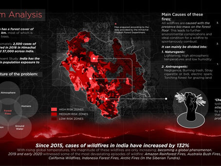 CHEER PROJECT – DESIGN DAGLI AGHI DI PINO