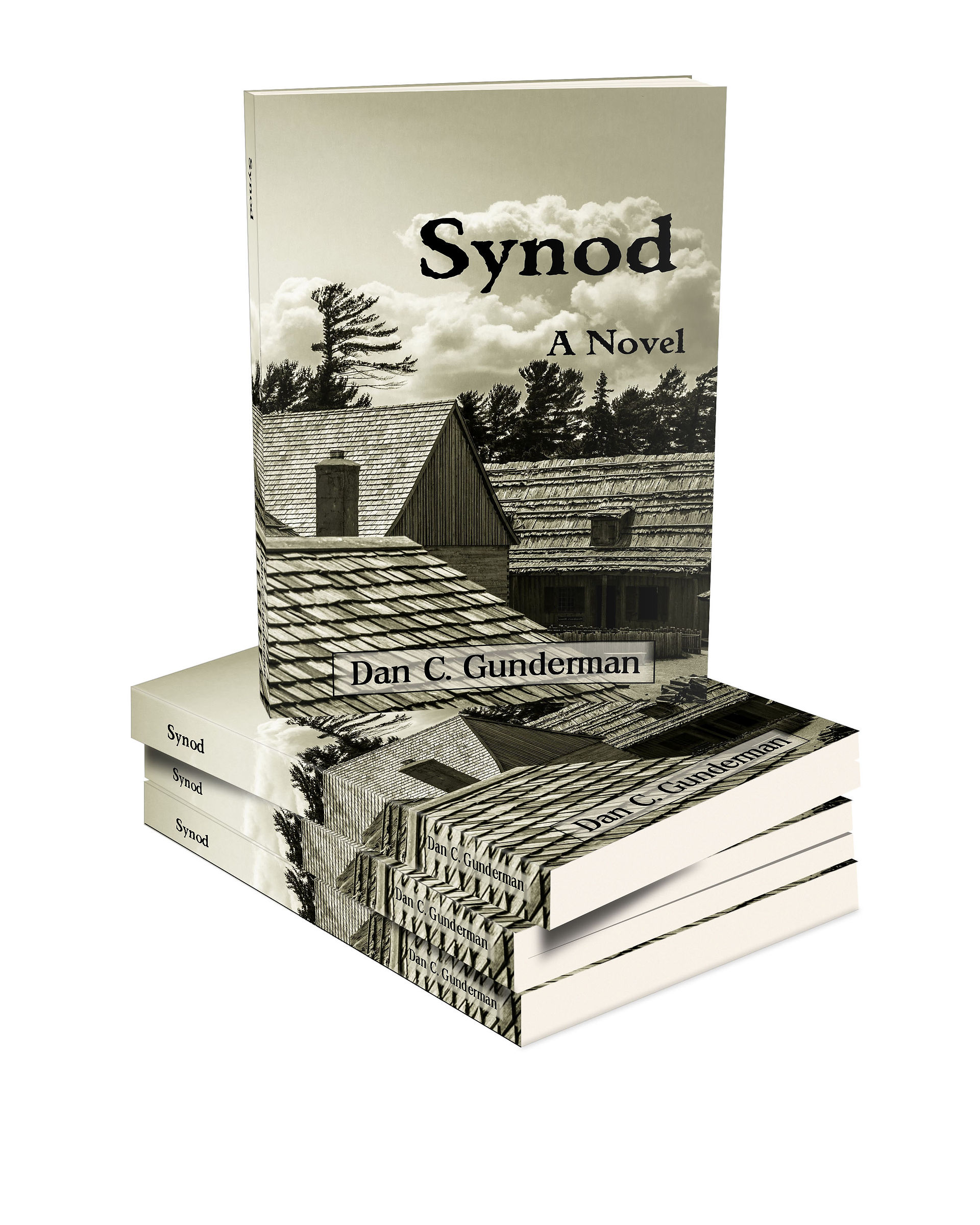 Synod 3D