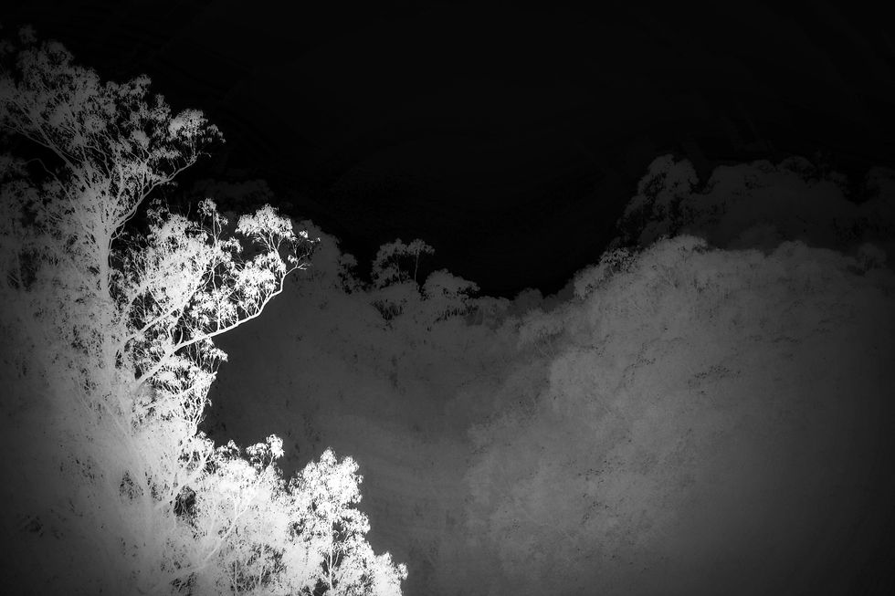 wildfire