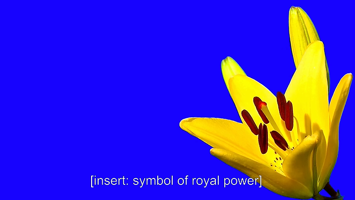 Léa Porré, lea porre, royalist dream, monarchy, roi de france, return king, legitimism, central saint martins degree show