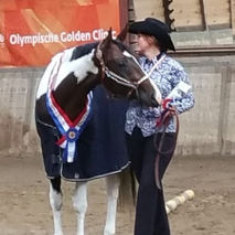 Hints special Asset a.k.a. Holly paint horse quarter horse