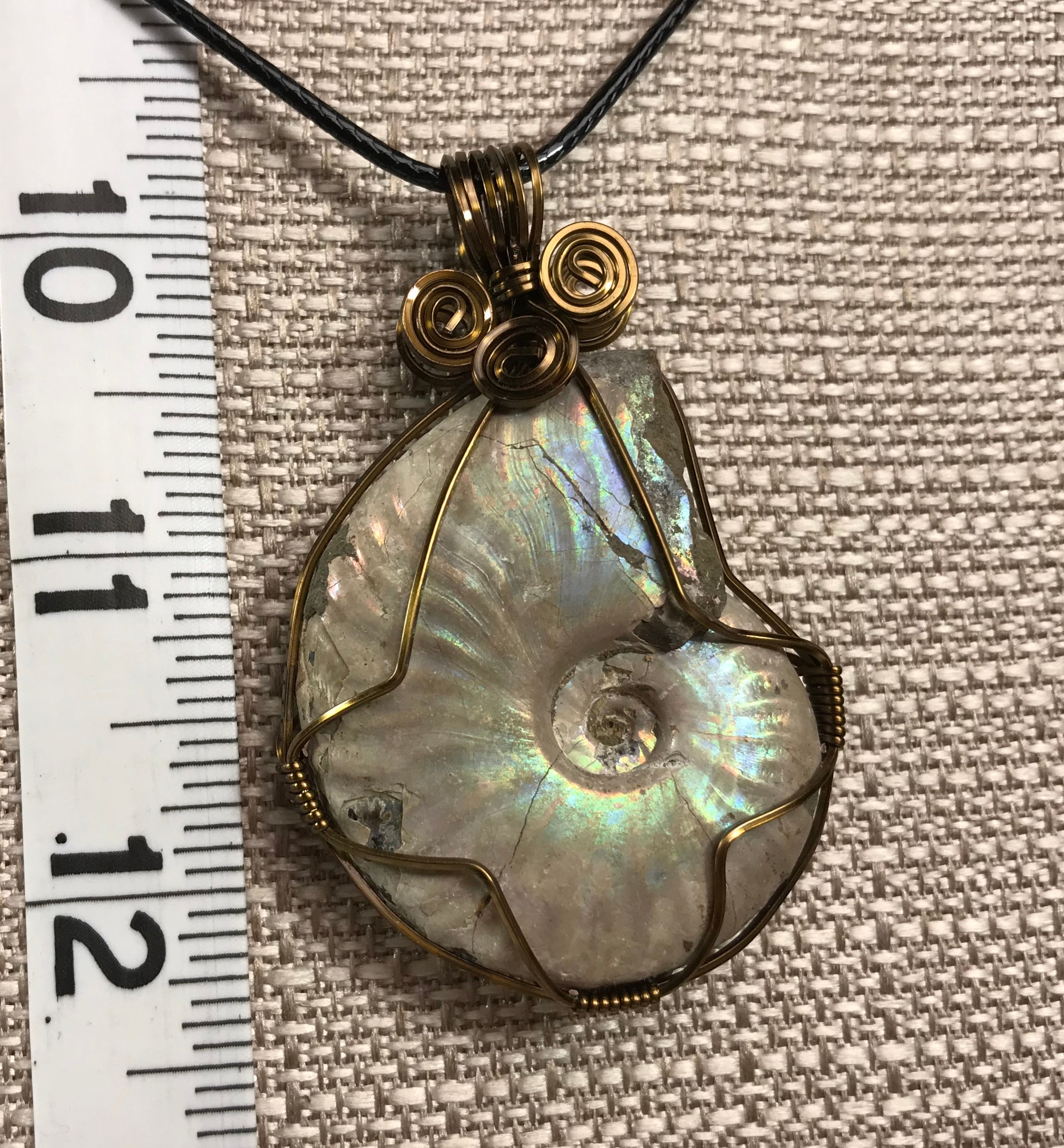 Wire Wrapped Ammonite Fossil - 3
