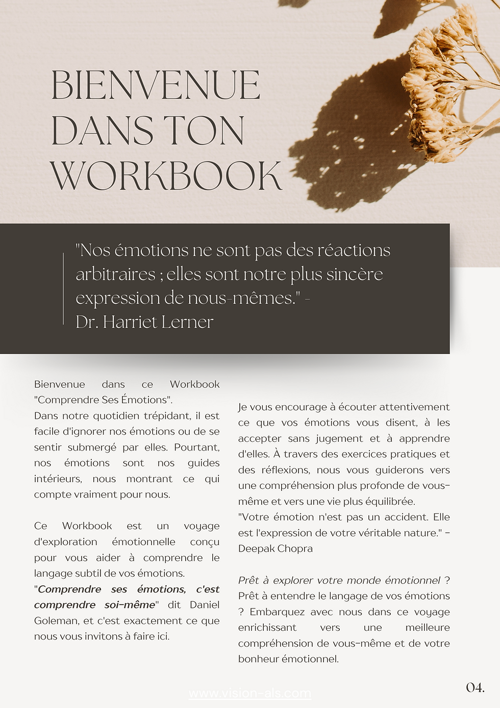 Miniature : WorkBook - Comprendre ses émotions