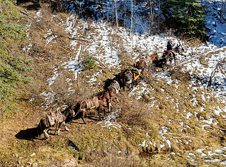 Image-1 (2).png