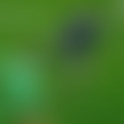 Sweeper Keepers Explained