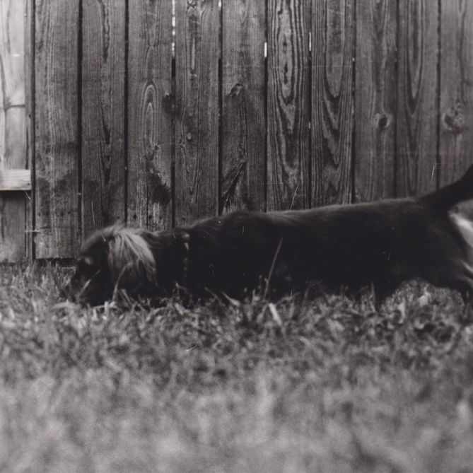 Emma Shaw (2) 2025.jpg