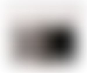 Édito #28 - Dominique Grimbert