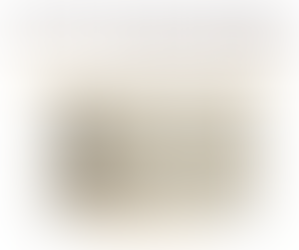 La force du surmoi - Adriana Campos