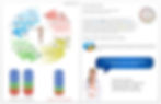 BodyComposition