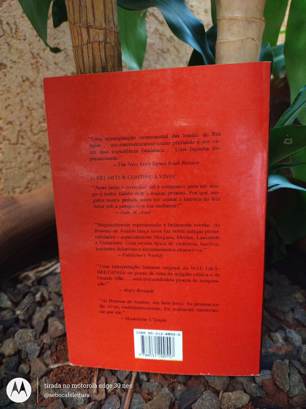 Miniatura: Livro As Brumas de Avalon vol 01 e 03