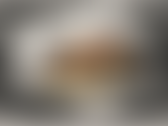 A casa da fazenda, por Márcia Medeiros (parte I)