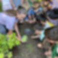 Planting for tomorrow