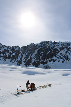 group dog sledding across an alaska glacier
