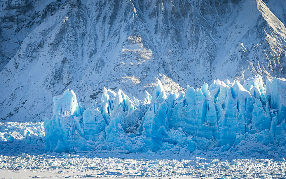 Winter or Summer? A Glacier Landing Tour Comparison 